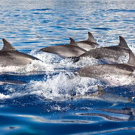 וילה Quinta Do Peru I